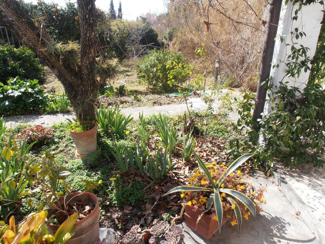 Casa Fortuna إمبيريا المظهر الخارجي الصورة